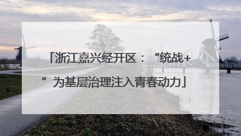 浙江嘉兴经开区：“统战+”为基层治理注入青春动力