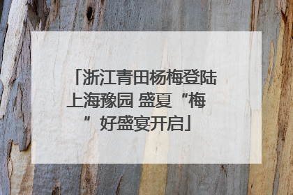 浙江青田杨梅登陆上海豫园 盛夏“梅”好盛宴开启