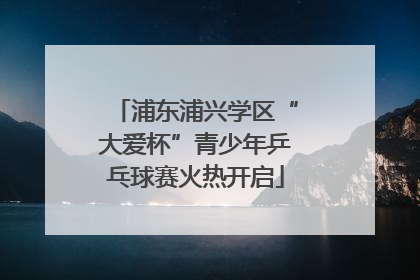 浦东浦兴学区“大爱杯”青少年乒乓球赛火热开启