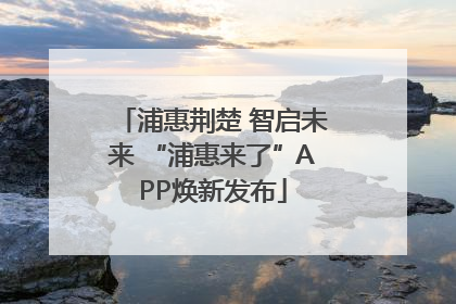 浦惠荆楚 智启未来 “浦惠来了”APP焕新发布