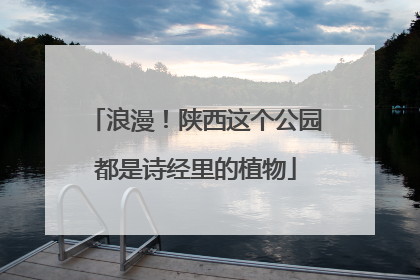 浪漫！陕西这个公园都是诗经里的植物