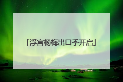 浮宫杨梅出口季开启