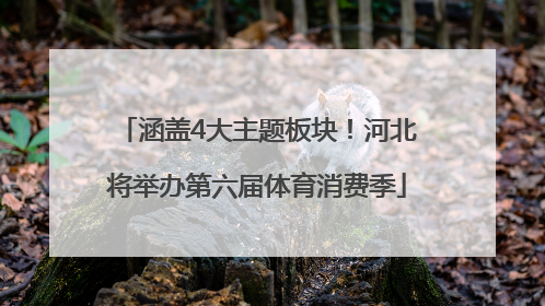 涵盖4大主题板块！河北将举办第六届体育消费季