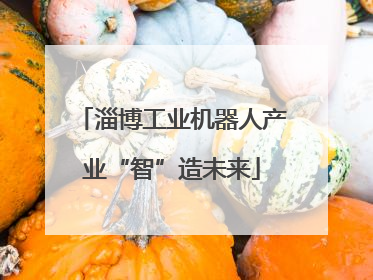 淄博工业机器人产业“智”造未来