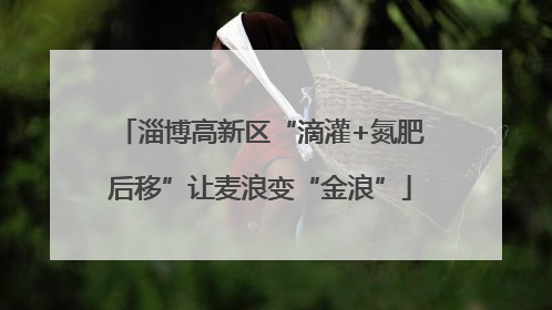 淄博高新区“滴灌+氮肥后移”让麦浪变“金浪”
