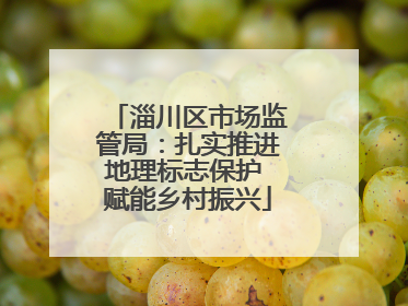 淄川区市场监管局：扎实推进地理标志保护 赋能乡村振兴