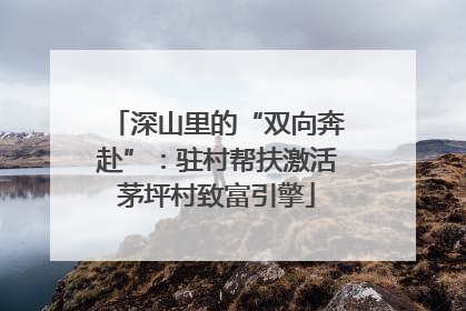 深山里的“双向奔赴”：驻村帮扶激活茅坪村致富引擎