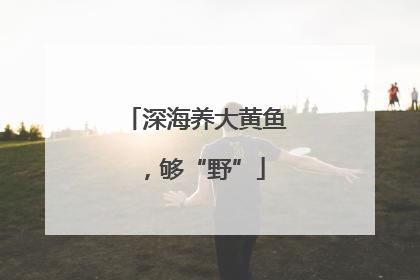 深海养大黄鱼，够“野”