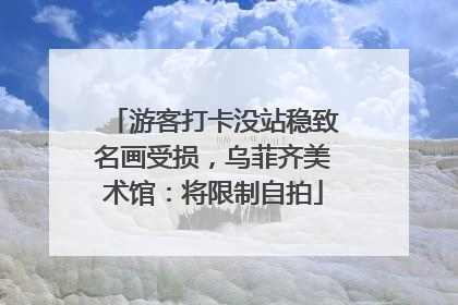 游客打卡没站稳致名画受损，乌菲齐美术馆：将限制自拍
