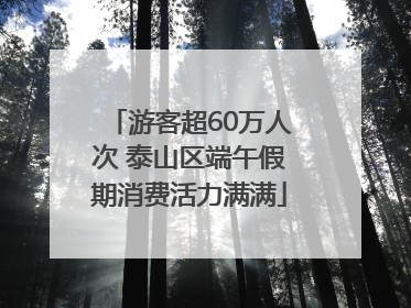 游客超60万人次 泰山区端午假期消费活力满满