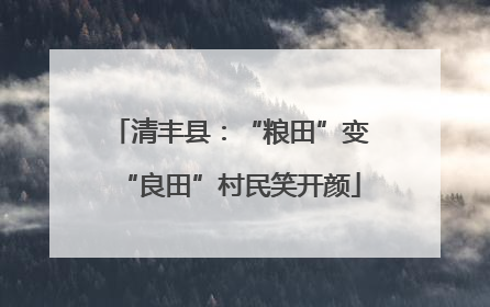 清丰县：“粮田”变“良田”村民笑开颜