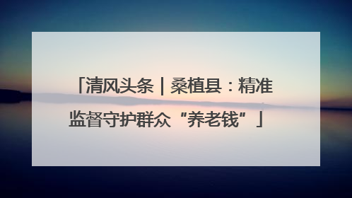 清风头条｜桑植县：精准监督守护群众“养老钱”