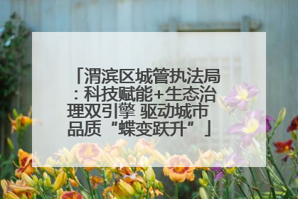 渭滨区城管执法局：科技赋能+生态治理双引擎 驱动城市品质“蝶变跃升”