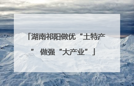 湖南祁阳做优“土特产” 做强“大产业”