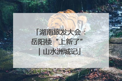 湖南旅发大会：岳阳楼“上新了”｜山水洲城记