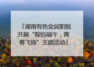 湖南有色金属职院开展“粽情端午，青春飞扬”主题活动