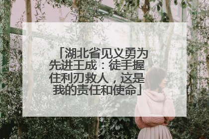 湖北省见义勇为先进王成：徒手握住利刃救人，这是我的责任和使命