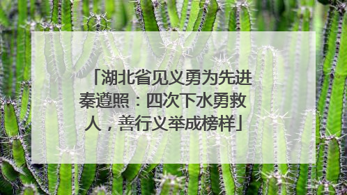 湖北省见义勇为先进秦遵照：四次下水勇救人，善行义举成榜样