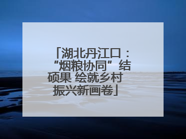 湖北丹江口：“烟粮协同”结硕果 绘就乡村振兴新画卷