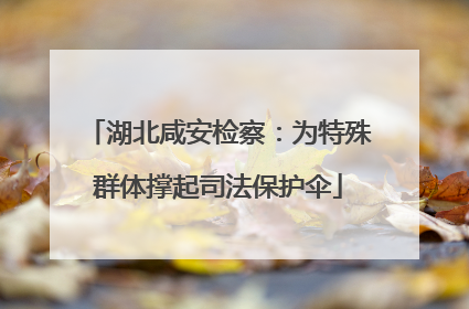 湖北咸安检察：为特殊群体撑起司法保护伞