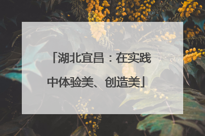 湖北宜昌：在实践中体验美、创造美