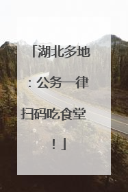 湖北多地：公务一律扫码吃食堂！
