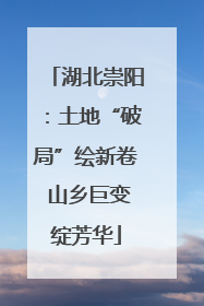 湖北崇阳：土地“破局”绘新卷 山乡巨变绽芳华