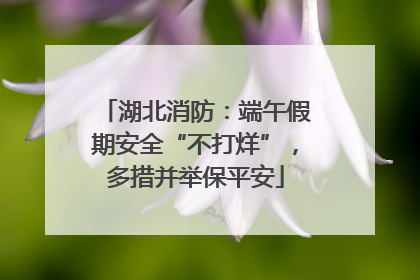 湖北消防：端午假期安全“不打烊”，多措并举保平安