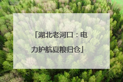 湖北老河口：电力护航夏粮归仓