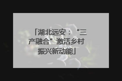 湖北远安：“三产融合”激活乡村振兴新动能