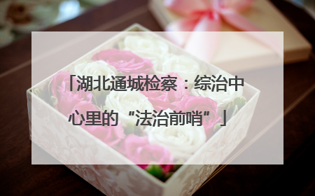 湖北通城检察：综治中心里的“法治前哨”