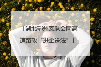 湖北鄂州支队会同高速路政“进企送法”