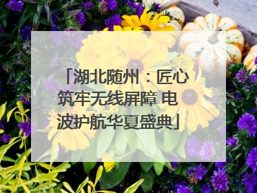 湖北随州：匠心筑牢无线屏障 电波护航华夏盛典
