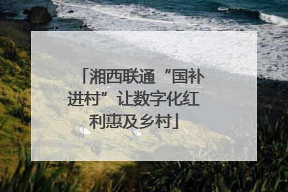 湘西联通“国补进村”让数字化红利惠及乡村