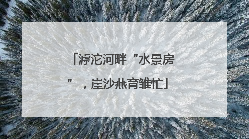 滹沱河畔“水景房”，崖沙燕育雏忙
