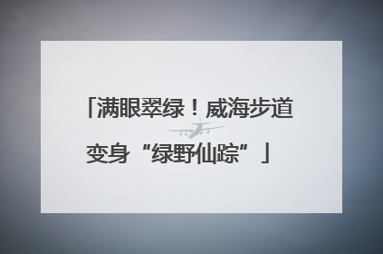 满眼翠绿！威海步道变身“绿野仙踪”