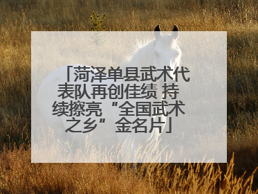 菏泽单县武术代表队再创佳绩 持续擦亮“全国武术之乡”金名片
