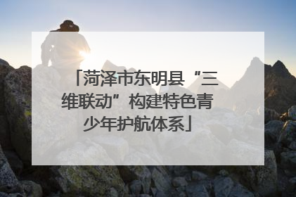 菏泽市东明县“三维联动”构建特色青少年护航体系