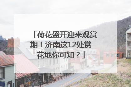 荷花盛开迎来观赏期！济南这12处赏花地你可知？