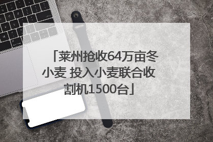 莱州抢收64万亩冬小麦 投入小麦联合收割机1500台