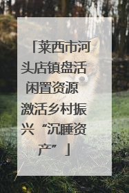 莱西市河头店镇盘活闲置资源 激活乡村振兴“沉睡资产”