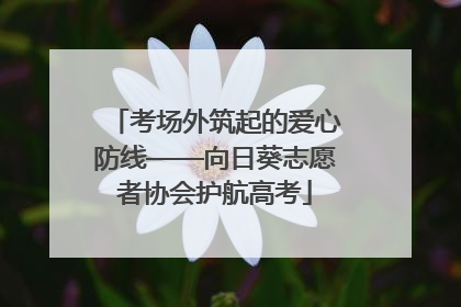 考场外筑起的爱心防线——向日葵志愿者协会护航高考