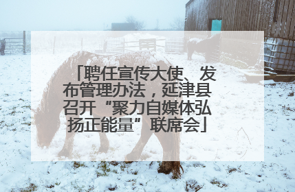 聘任宣传大使、发布管理办法，延津县召开“聚力自媒体弘扬正能量”联席会