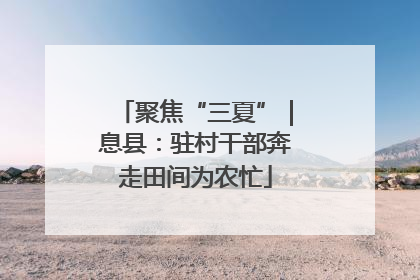 聚焦“三夏”｜息县：驻村干部奔走田间为农忙