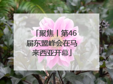 聚焦丨第46届东盟峰会在马来西亚开幕