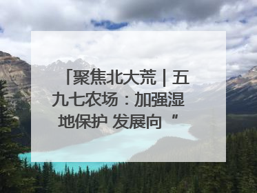 聚焦北大荒｜五九七农场：加强湿地保护 发展向“绿”而行