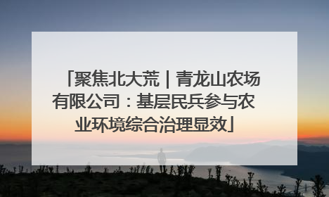 聚焦北大荒｜青龙山农场有限公司：基层民兵参与农业环境综合治理显效