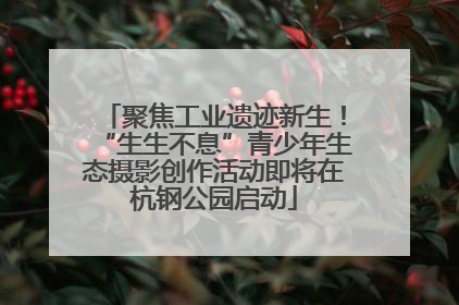 聚焦工业遗迹新生！“生生不息”青少年生态摄影创作活动即将在杭钢公园启动
