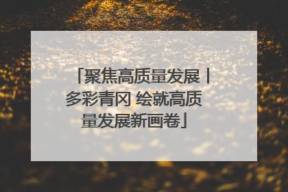 聚焦高质量发展丨多彩青冈 绘就高质量发展新画卷