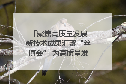聚焦高质量发展｜新技术成果汇聚“丝博会” 为高质量发展注入新动能